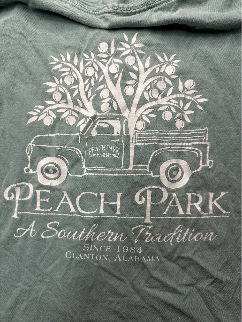Peach Park Clanton Alabama Comfort Colors Graphic T Shirt Womens Large